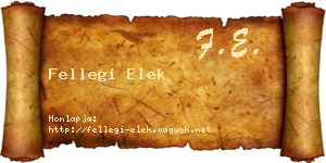 Fellegi Elek névjegykártya